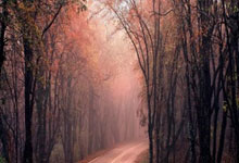 记者：劳塔罗离开阿根廷训练营，可能缺战乌迪内斯和AC米兰.