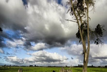 开云体育：[综合]超纪录 放光芒 赵一程的闪耀与期待.