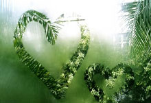 攀岩队完成体能测试结束冬训.