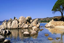 开云体育：塔图姆35+14绿军擒公牛7连胜 活塞大胜步行者12：26.